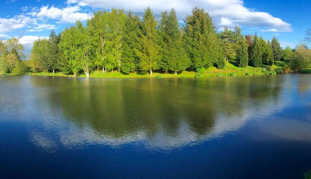 Chalet with private lake, 4-person rental with NOKILL fishing