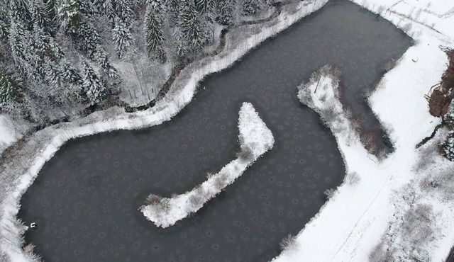 Chalet with private fishing pond near Gerardmer