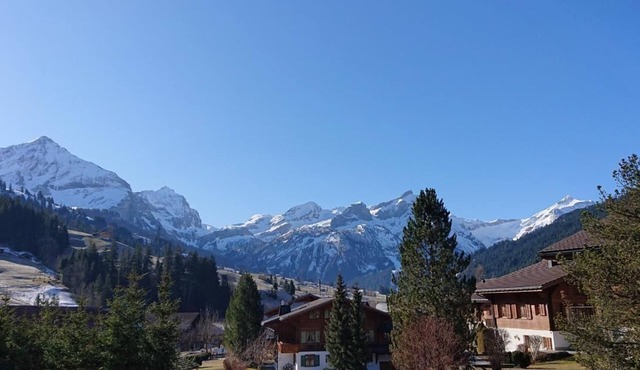 Chalet Wittebärg