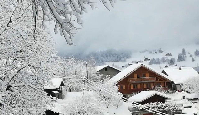Chalet wood comfortable, independent, quiet, with beautiful views of Mont Blanc