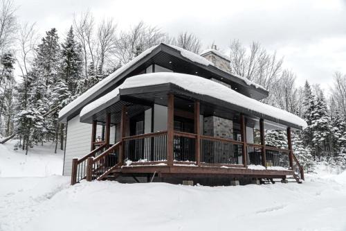 Chalet Zénitude En Forêt - Spa et Moments Précieux