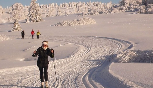 Chaletde montagne indépendant en Alsace Massif du Champ du Feu - Ski resort