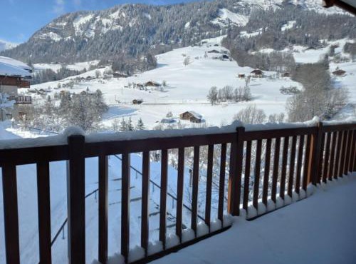 Chalets des Evettes- appartement vue montagne