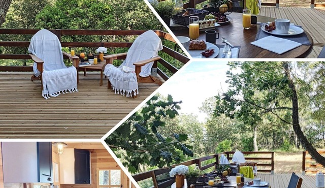 Chalets du Golfe de Saint Tropez,havre de Paix, 20mn des Plages,en Pleine Nature