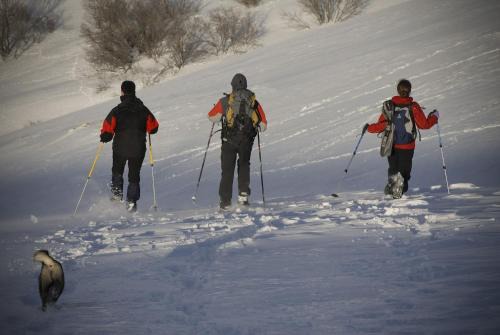 Chalets et gîtes d'Orlu