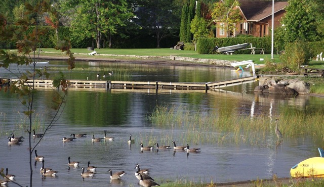 Chalets et Gîte au bord au bord du Lac Kénogami