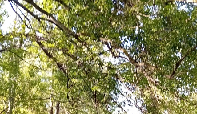 Chaleureuse Maison de Village Avec Jardin Attenant