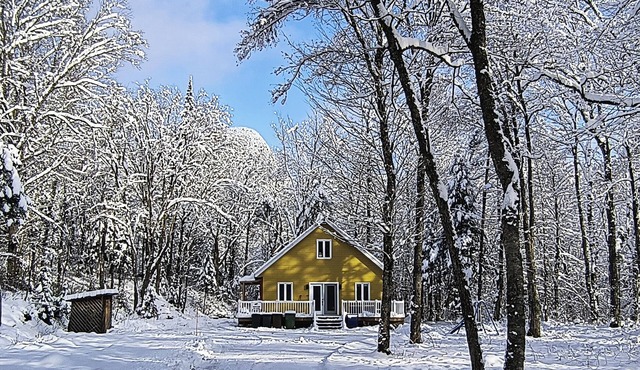 Chaleureux Chalet en forêt à quelques minutes des sentiers de randonnée.