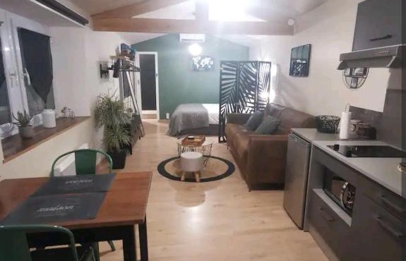 Chaleureux Studio de 35m2