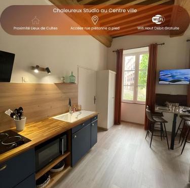 Chaleureux studio - Au Coeur du Centre ville