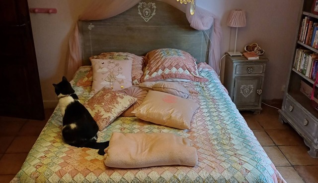 Chambre d 'hôte Romantique a Coté D'avignon