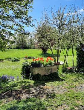 Chambre à la campagne
