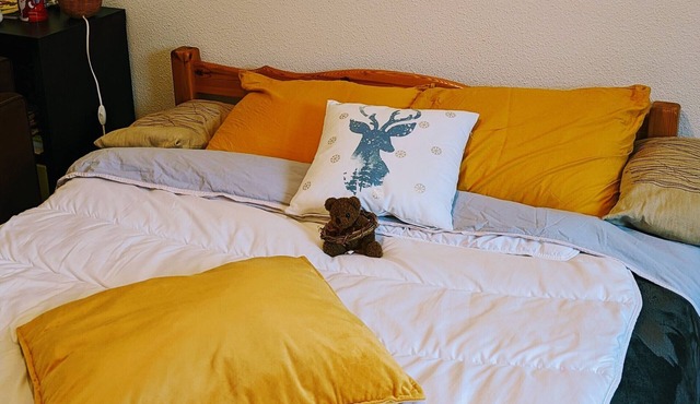 Chambre aux Pieds des Volcans