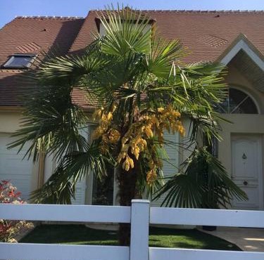 chambre avec entrée indépendante situation idéale