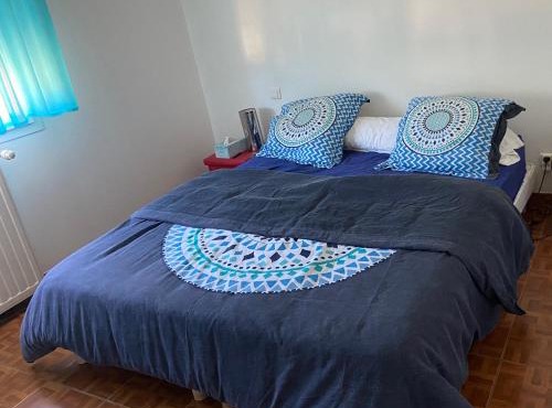 Chambre avec un lit King size