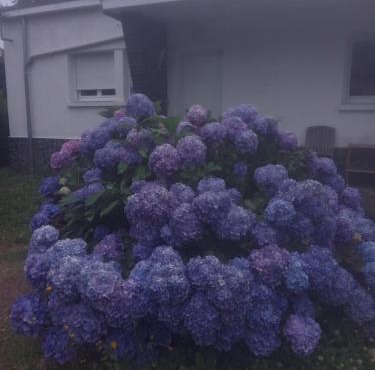 Chambre calme et sa mezzanine