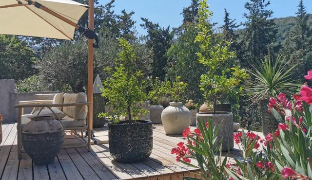 Chambre chez l'habitant dans un écrin de verdure