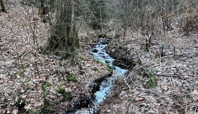Chambre Chez Lhabitant