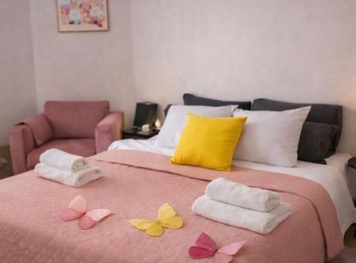 Chambre cosy Butterfly chez l'habitant avec jardin
