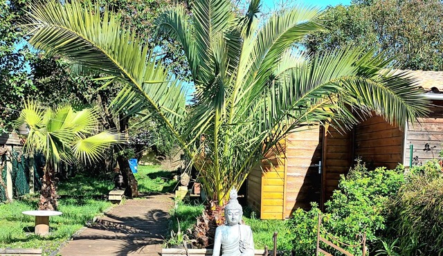 Chambre Cosy Dans une Échoppe ZEN à 3 mn du Tram et Parking Gratuit Dans la rue