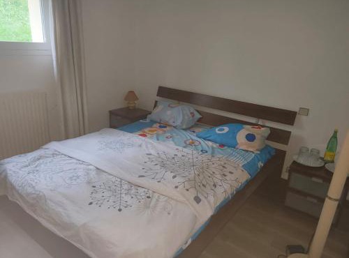 Chambre Cosy -SAINT-PRIX