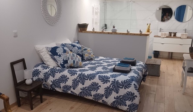 Chambre d'Emma, whirlpool bath, free Wi-Fi, free private parking