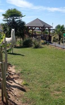 Chambre d'Hôtes Les Ormeaux