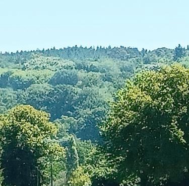 Chambre d'hôtes indépendante à la campagne