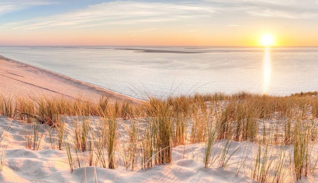 Chambre d'hôtes Ô Bois Plage