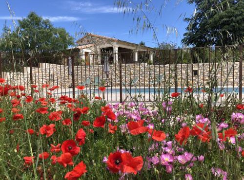 Chambre d'hôtes Bambou- A l'Ombre des Tilleuls