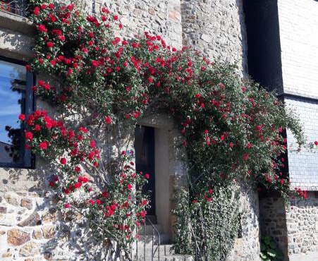 Chambre d'hôtes dans maison de charme
