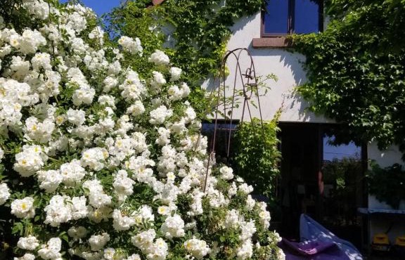 chambre d'hôtes de charme, un temps en forêt