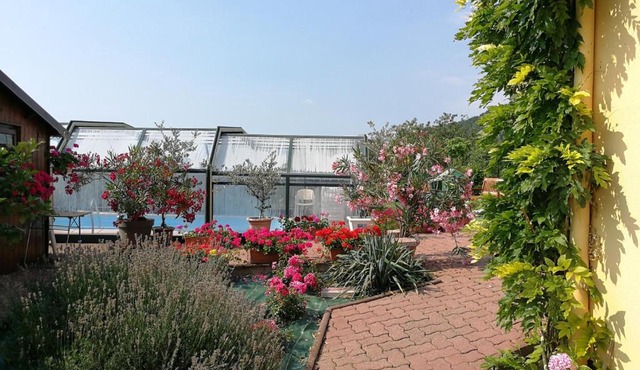 Chambre d'hôtes de la tulipe