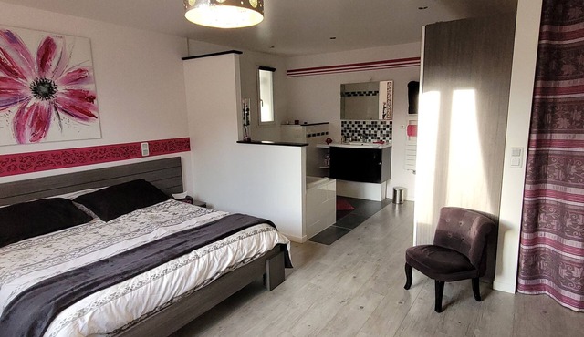 Chambre D'hôte à 2 pas de Paris, Idéal Pour le JO. Grand Confort