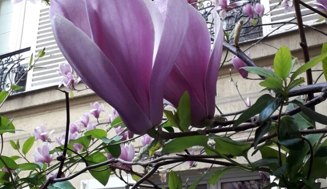 Chambre D'hôte Courtes Durées Colloques, Séminaires, Examens