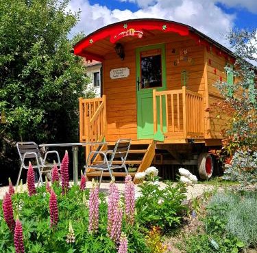Chambre d'hôte dans Roulotte aménagée tout confort Kitchenette SDB La Fée Favie
