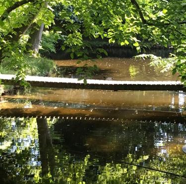 Chambre d'hôte proche de la nature