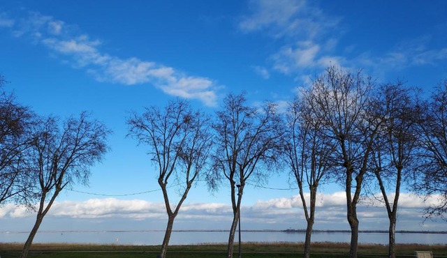 Chambre d'hôtes Chez Christophe Pauillac 1 chambre