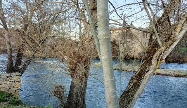 Chambre d hôtes RETRO Campagne sur Aude