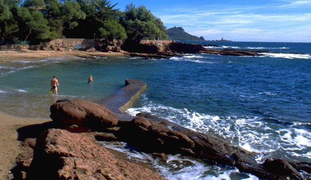Chambre d'hôtes La Potinière