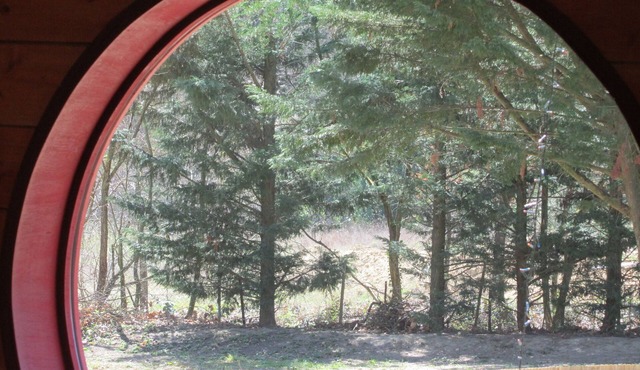 Chambre d'Hôtes Neptune Wood