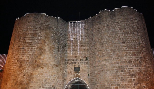 Chambre d'hôtes - Noir Lion