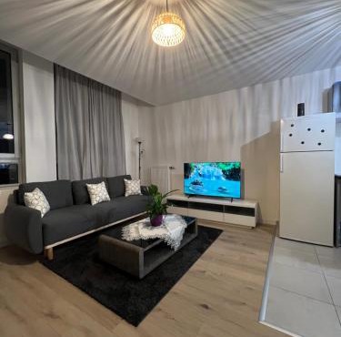 Chambre dans appartement