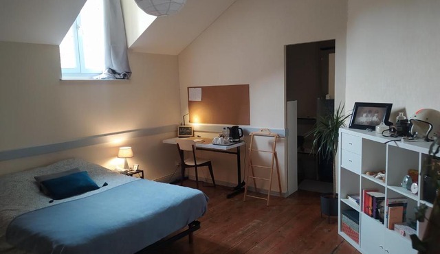 Chambre dans appartement de caractère