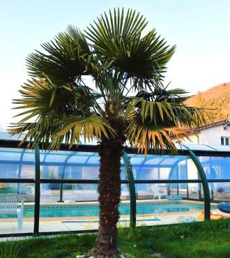 Chambre double "le pêcher" saillans