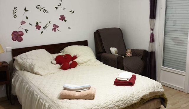 Chambre Maison de Ville à Lourdes 10mn du Sanctuaire 15 kms des Pistes de Skis