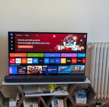 Chambre spacieuse TV Oled, proche Tête d'or