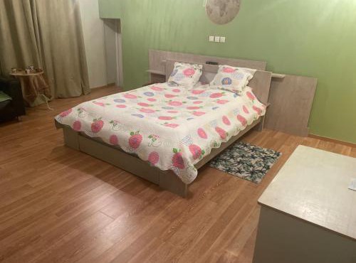 Chambre verte spacieuse côté aéroport