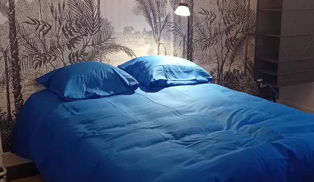 Chambre2 privée Cosy et Fonctionnelle Haute Gamme Vue sur Château +Jardin Patio.