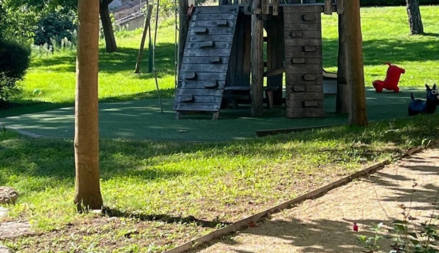 Chambres a Louer Dans un Spacieux Appartement Dans les Hauteurs de Lyon